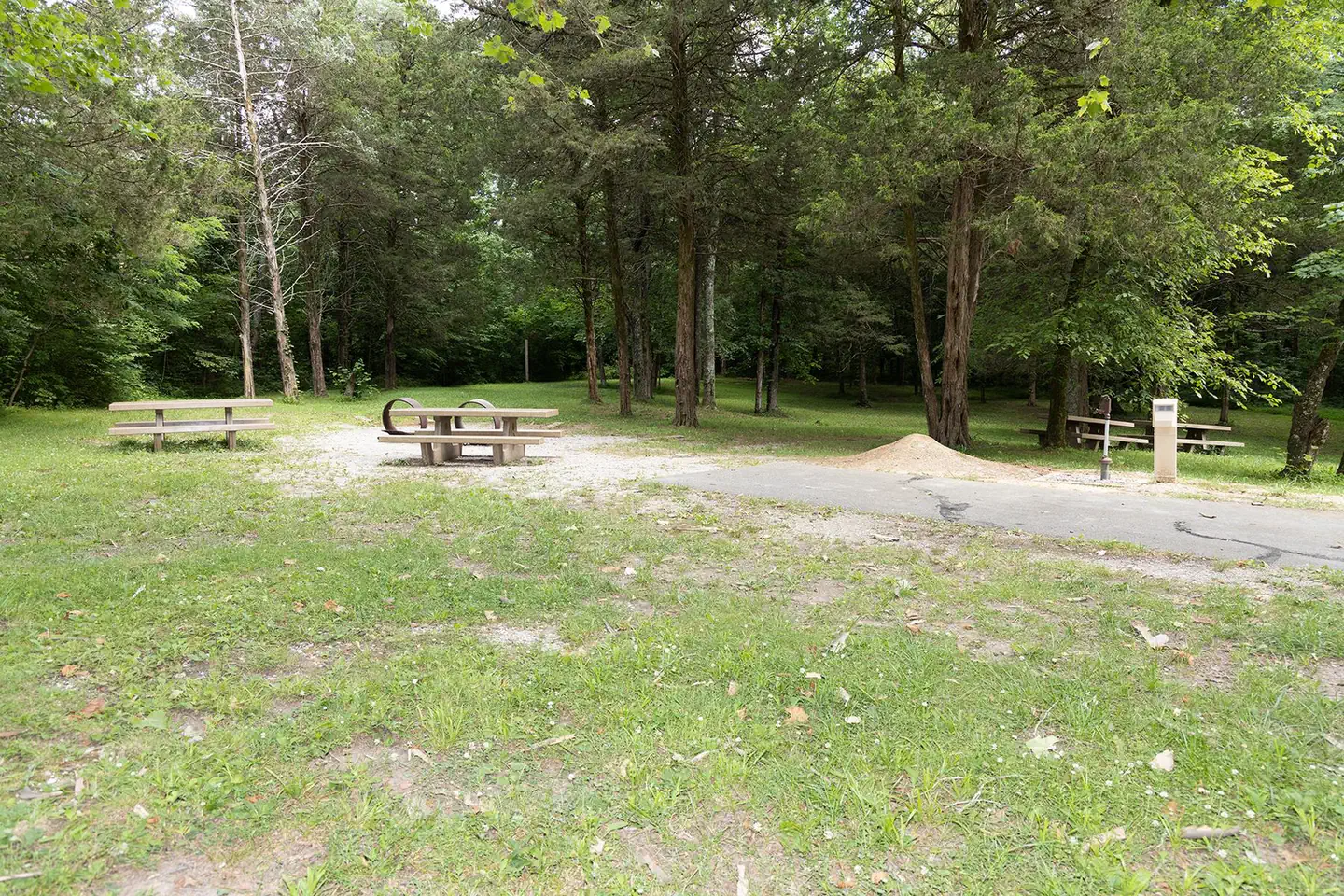 Maple Springs — Maple Springs Camp Site 5