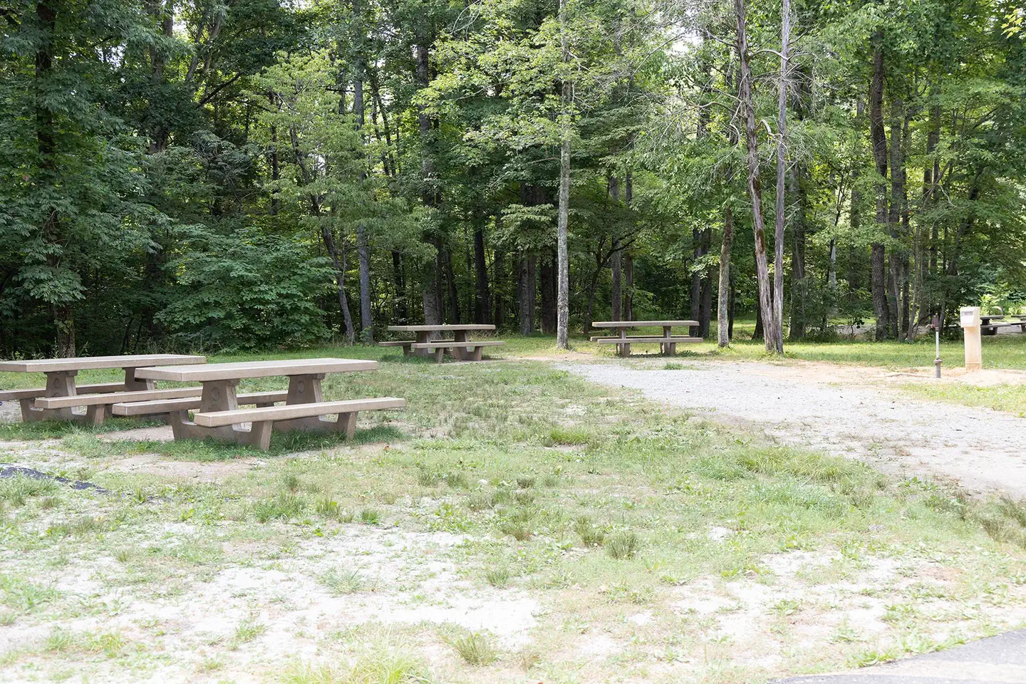 Maple Springs — Maple Springs Camp Site 6