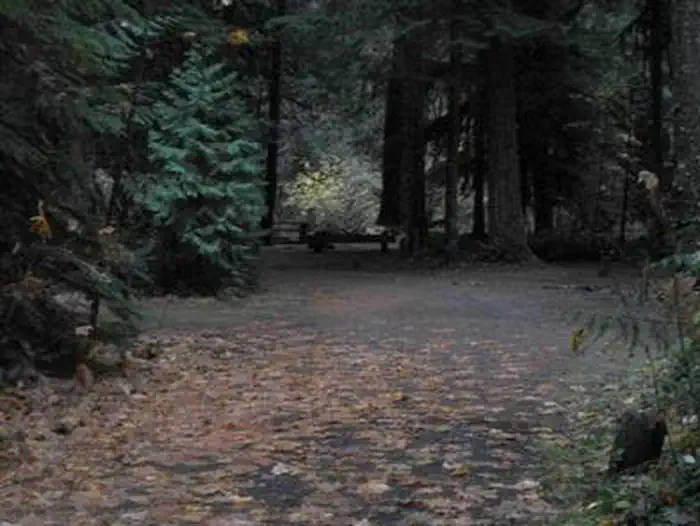 Limberlost Campground — LIMBERLOST CAMPGROUND