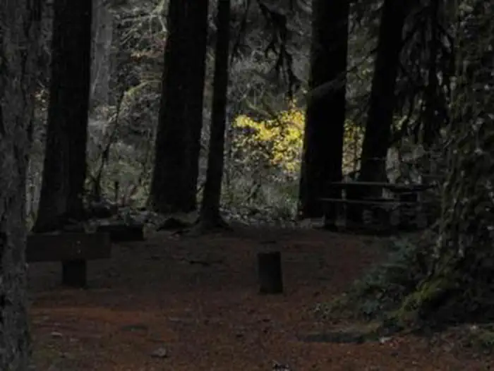 Limberlost Campground — LIMBERLOST CAMPGROUND