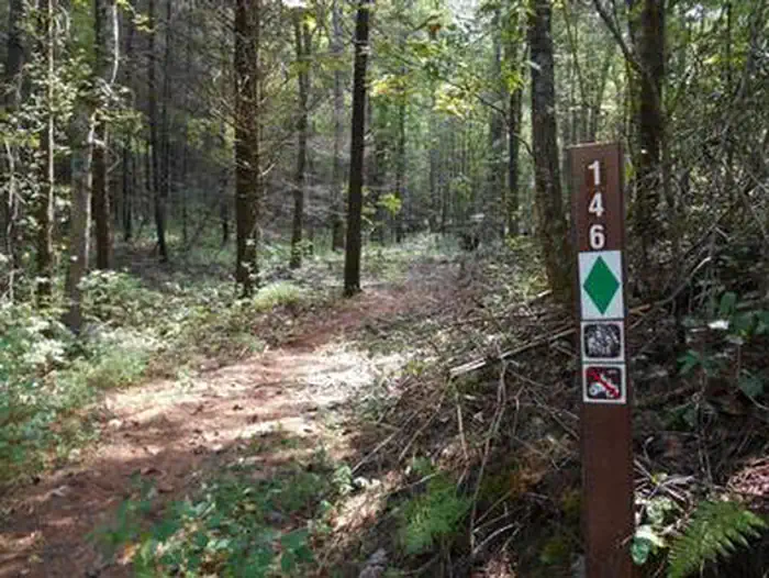 Willis Knob Horse Camp — WILLIS KNOB HORSE CAMP Trail picture