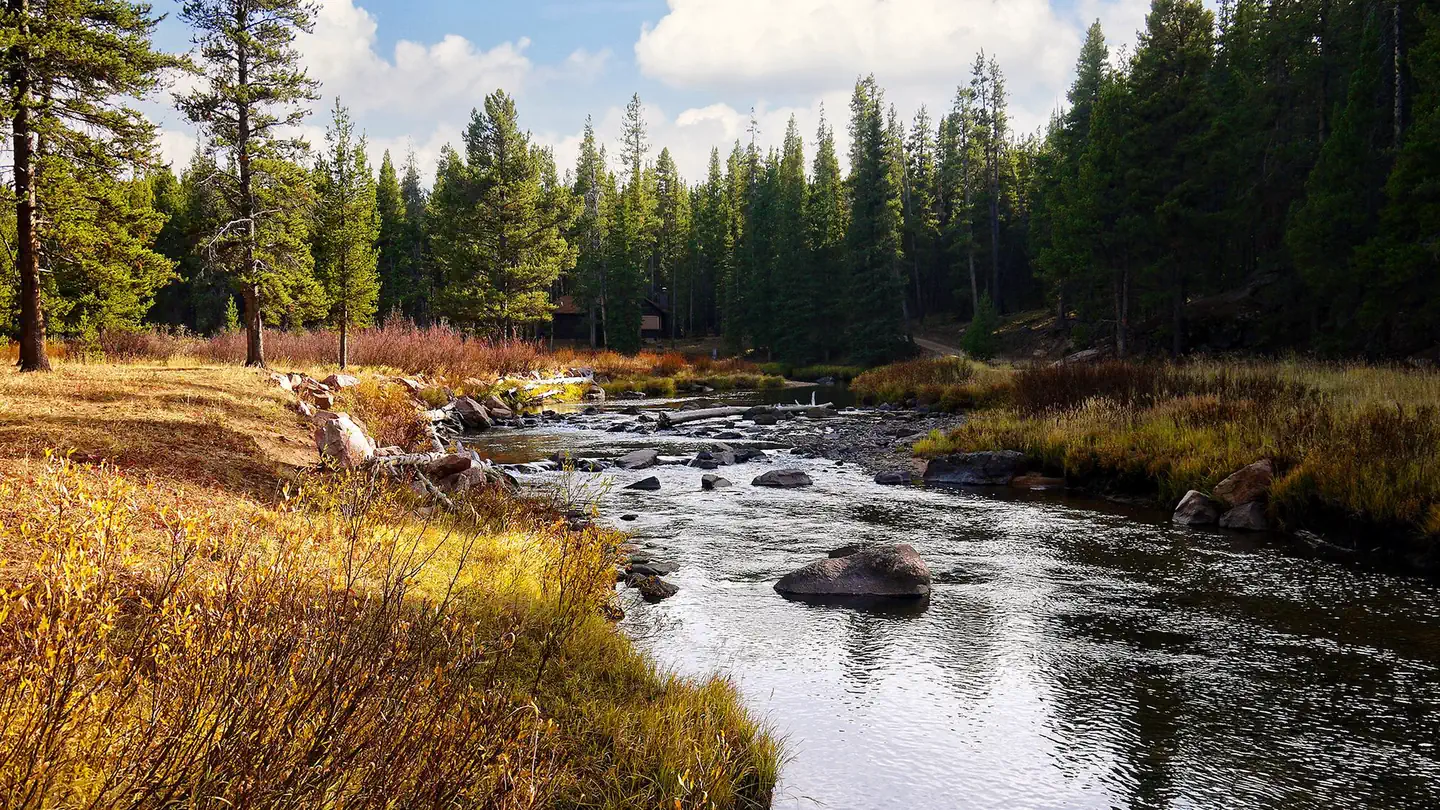 Prune Creek