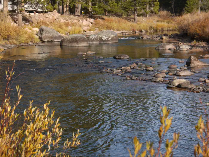 Prune Creek — Prune Creek