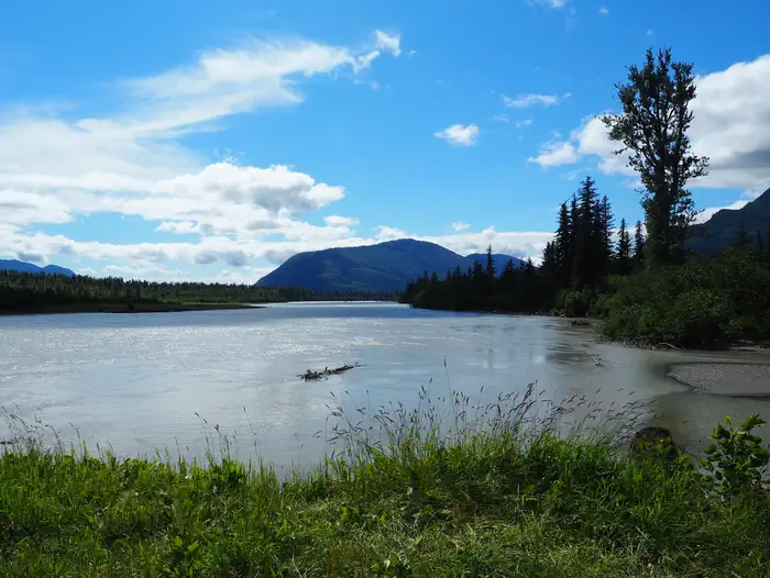 Twin Lakes Cabin (ak) — View of the Stikine River from Twin Lakes Cabin
