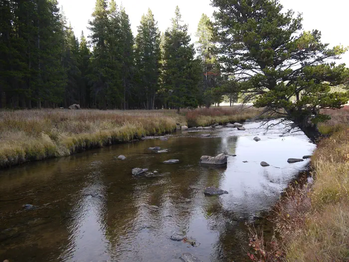 Pine Island Group Area β River next to Pine Island Group Area