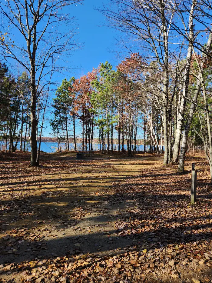 Mabel Lake Campground — A picture of a campsite in Mabel Lake Campground with a site marker and trees.