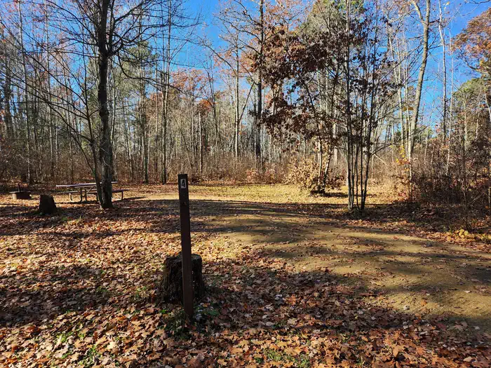 Mabel Lake Campground — A picture of a campsite in Mabel Lake Campground with a stump and a site marker in the foreground and trees in the background.