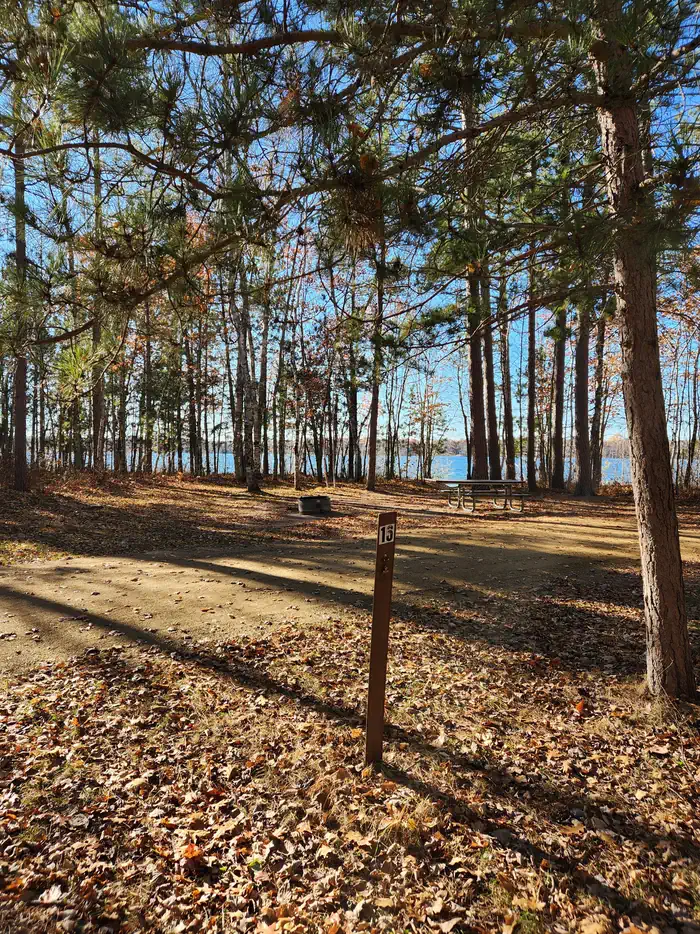 Mabel Lake Campground — A picture of a campsite in Mabel Lake Campground with a pine tree, a site marker, and a firering.