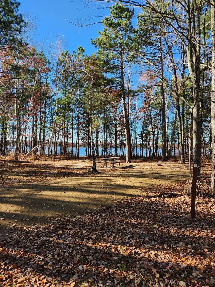 Mabel Lake Campground — A picture of a campsite in Mabel Lake Campground with trees, a site marker, and a picnic table.