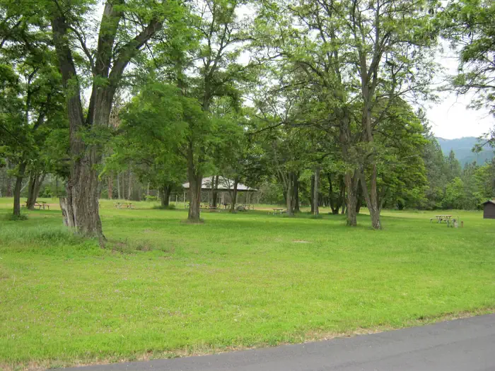 Kettle Falls Locust Grove Group Site — Locust Grove Group Site