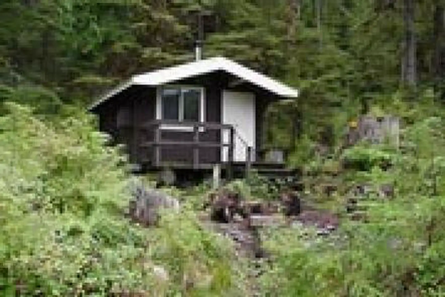 Trollers Cove Cabin β TROLLERS COVE CABIN2