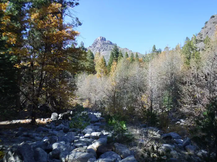 Wild Plum — View of Sierra Buttes from Wild Plum Campground
