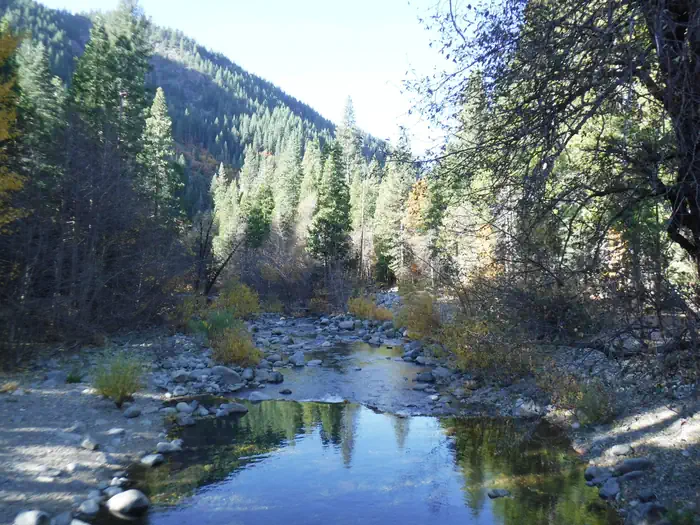Wild Plum — Haypress Creek