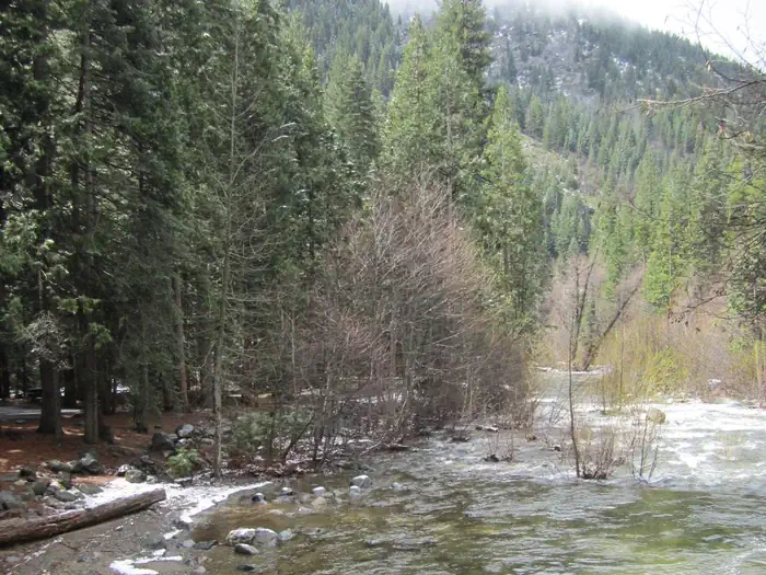 Wild Plum — Haypress Creek at Wild Plum