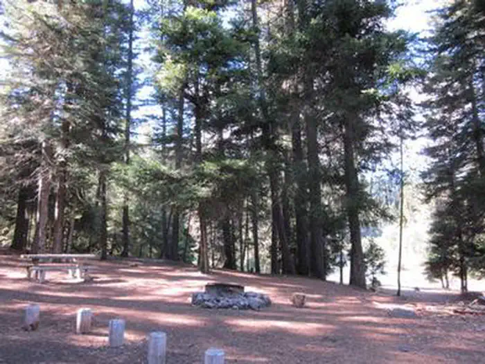 South Fork Group Site - Wenatchee Nf (wa) — Fire ring in flat open area next to conifer trees.