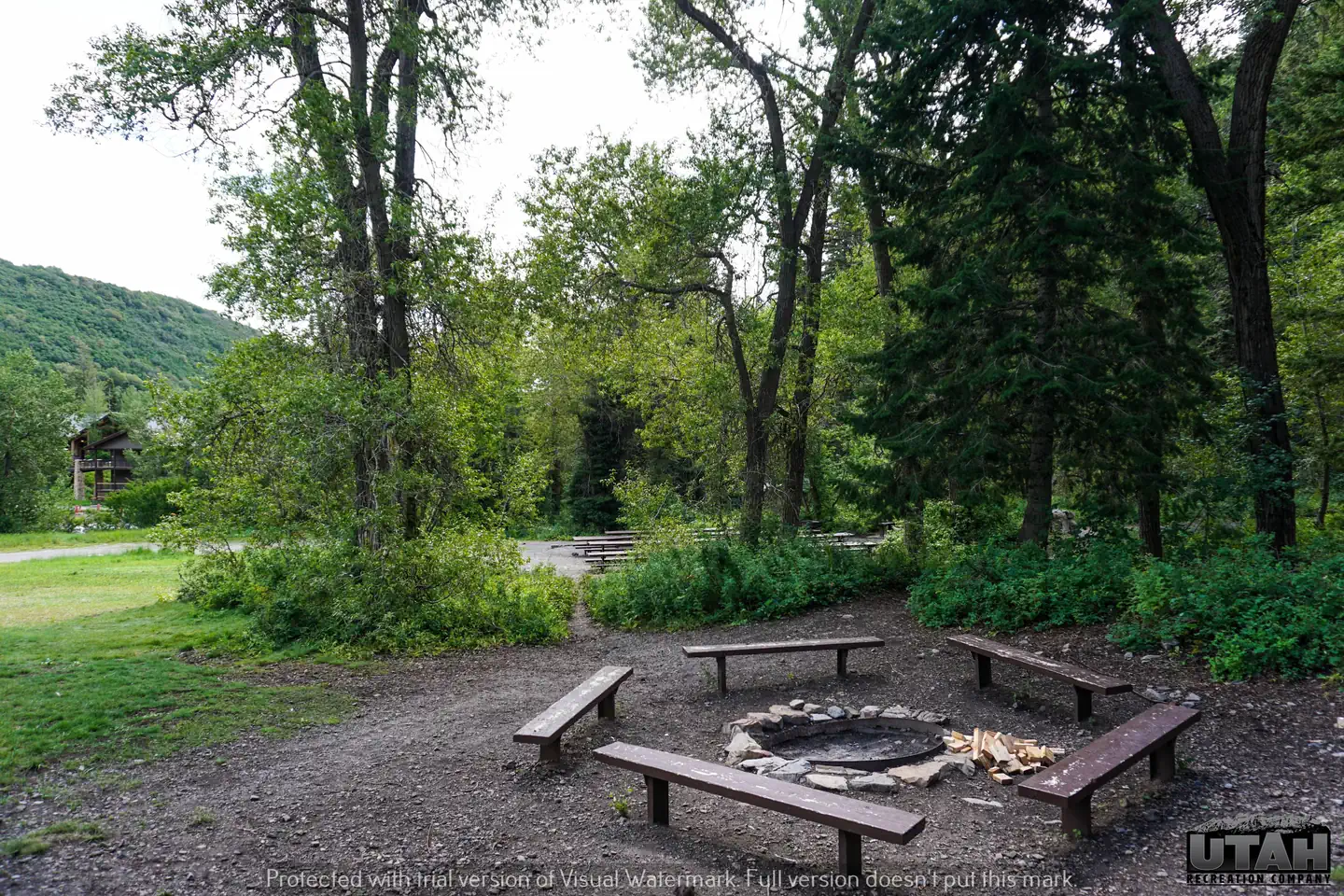 Theater In The Pines — Theater In The Pines 4