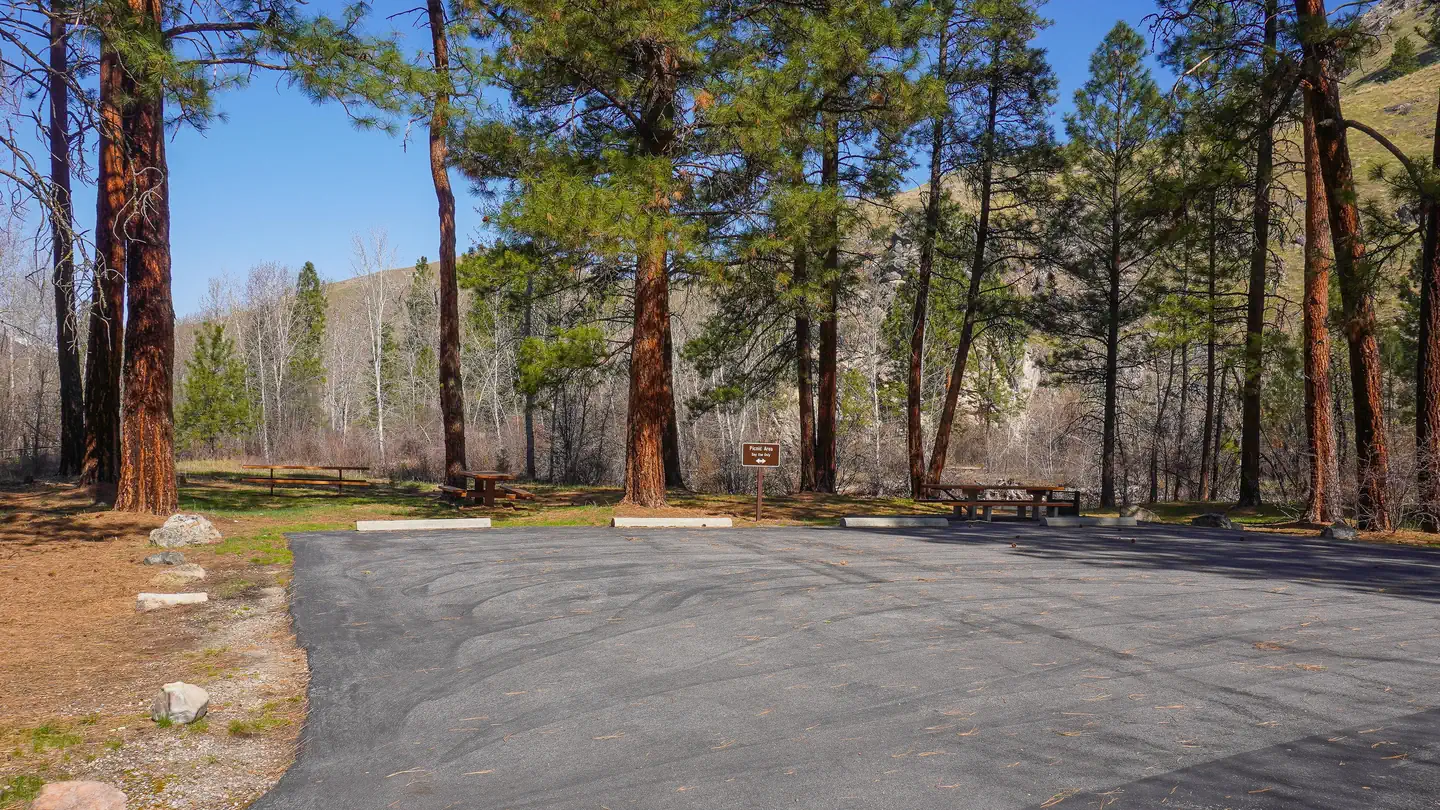 Spring Gulch