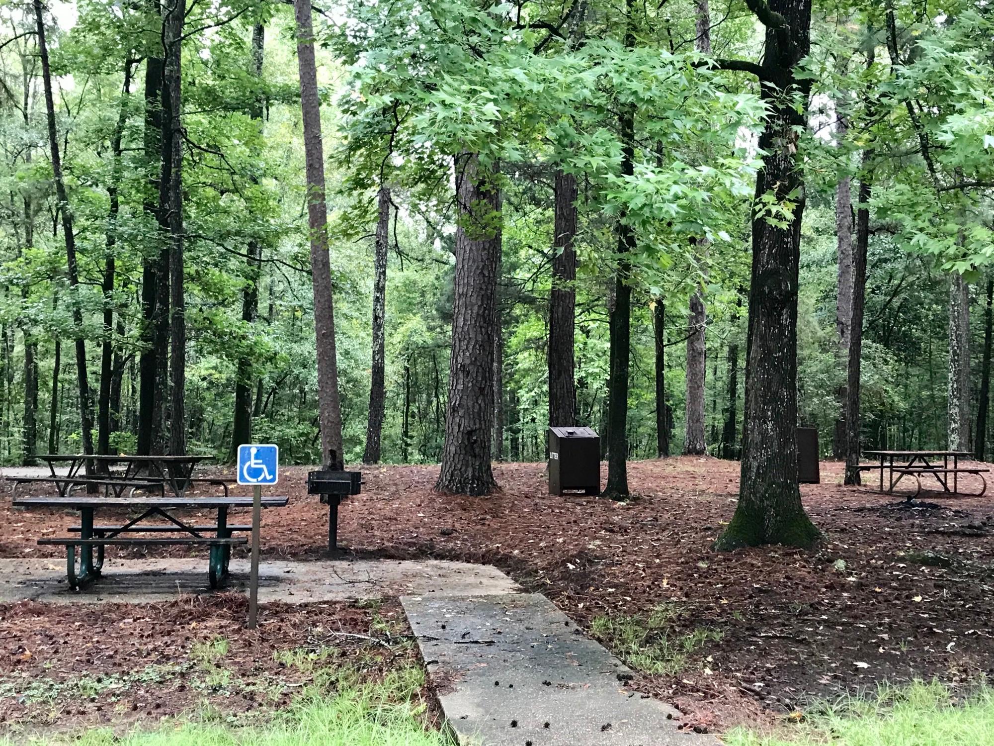 Rocky Springs Campground, Milepost 54.8 — Accessible Campsite