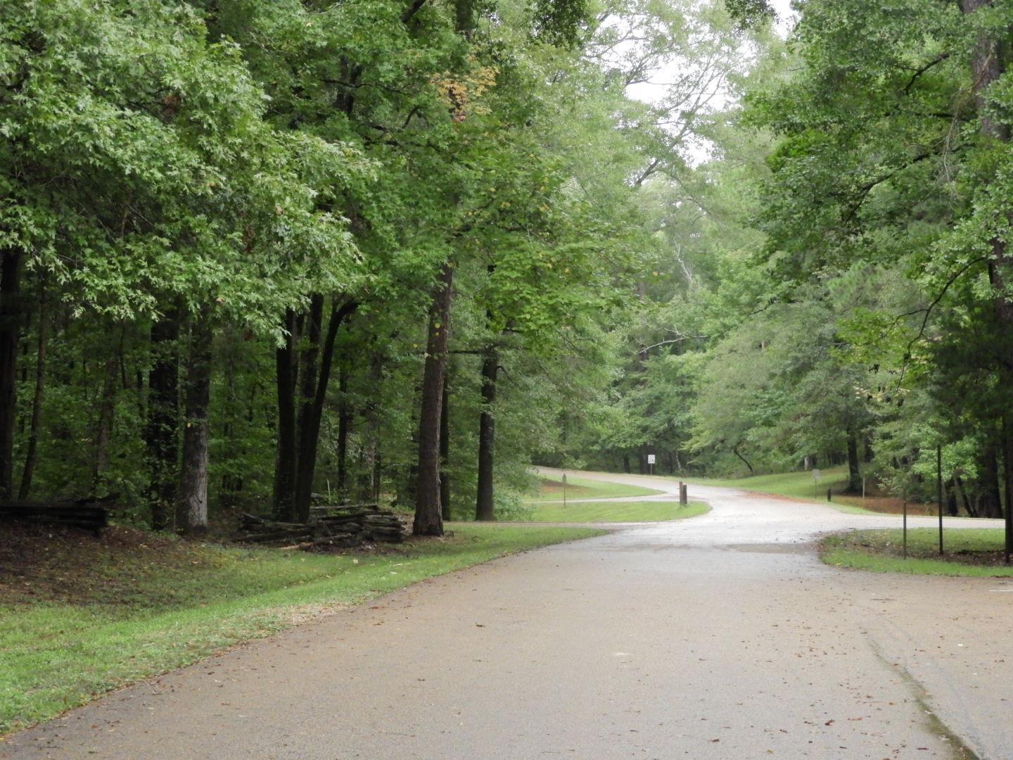 Rocky Springs Campground, Milepost 54.8 — Road into Rocky Springs Campground