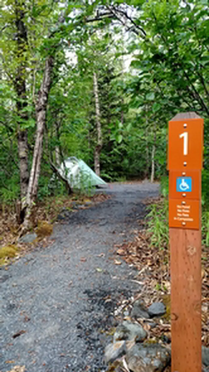 Exit Glacier Campground — Exit Glacier Campground site #1