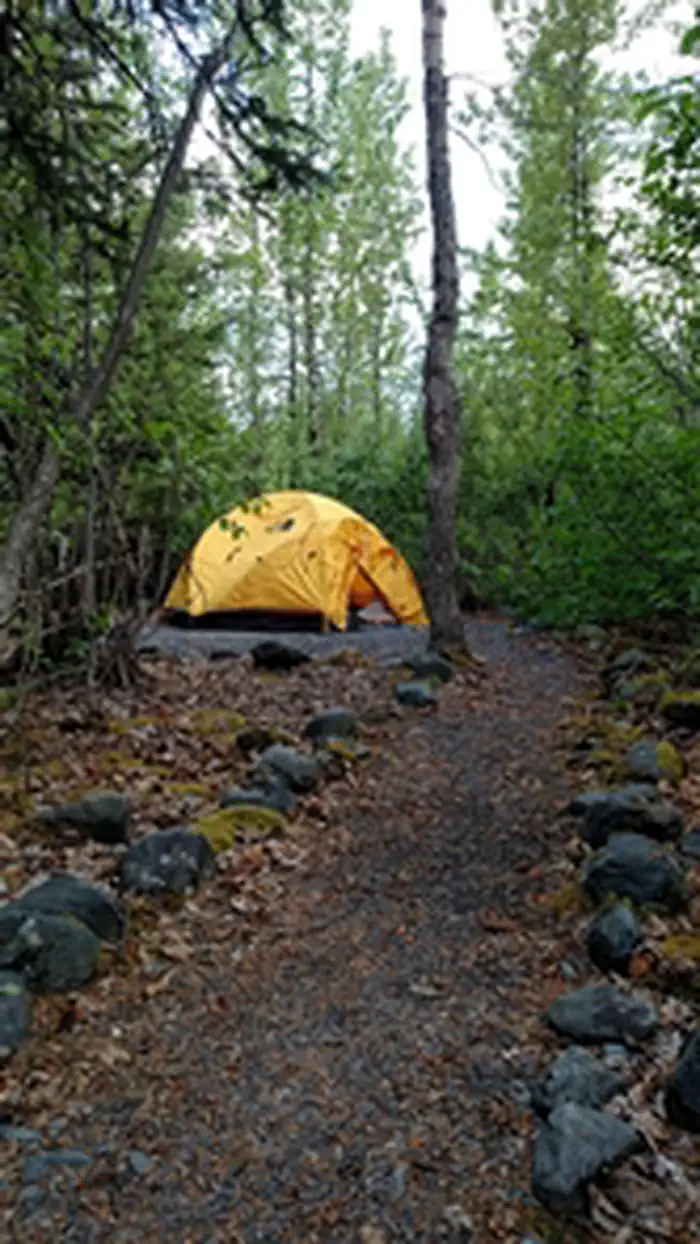 Exit Glacier Campground