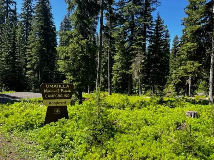 Woodward — Entrance sign reading " UMATILLA National Forest CAMPGROUND - Woodward" in a wooded area with tall trees and green underbrush