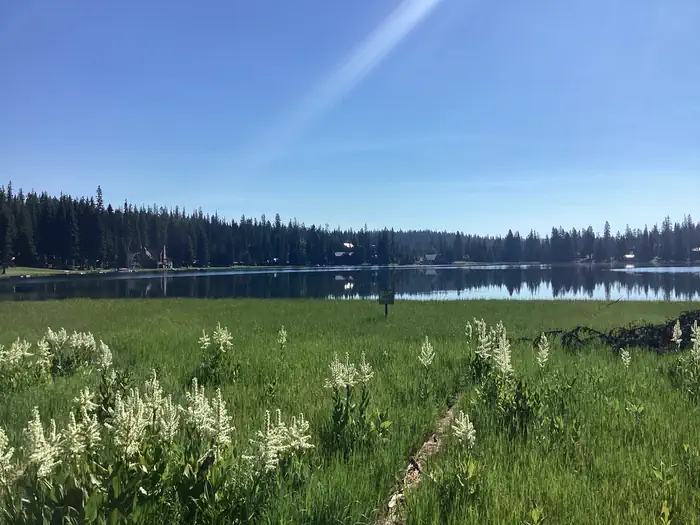 Woodward — A photo of facility Woodward Campground lake access prohibited 