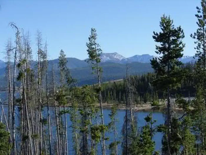 Piney Campground And Boat Launch — PINEY CAMPGROUND AND BOAT LAUNCH