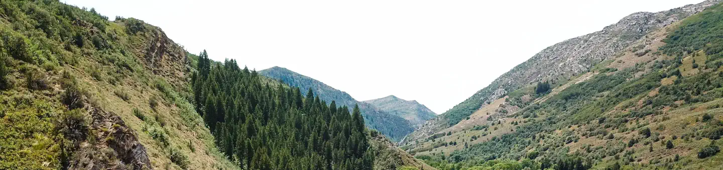 South Fork (ut)