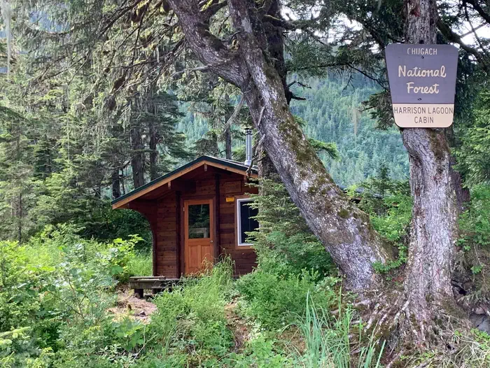 Harrison Lagoon Cabin — Harrison Lagoon Cabin