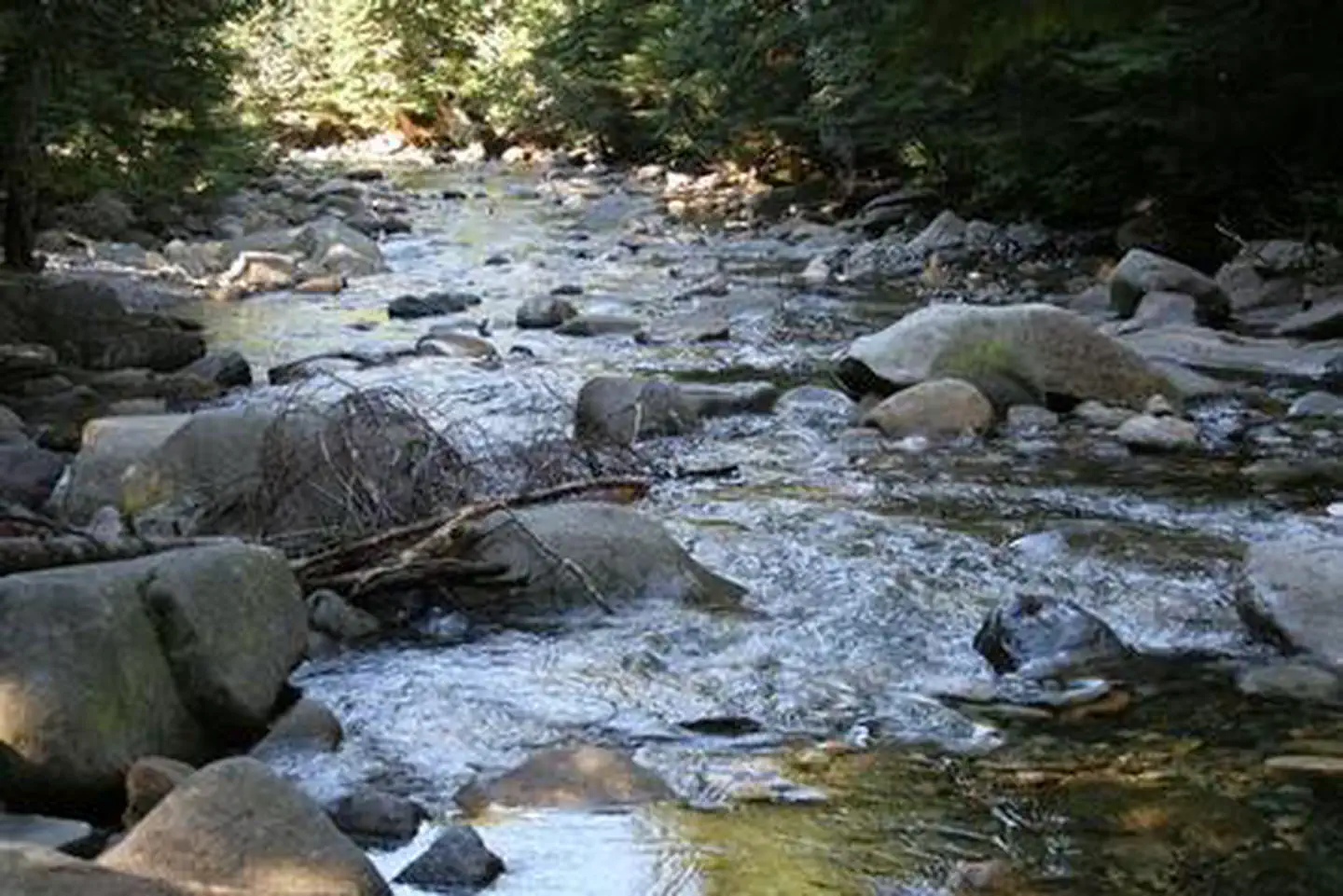 Denny Creek Campground — Denny Creek Campground