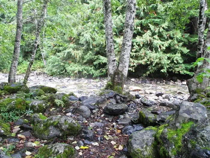 Denny Creek Campground — Denny Creek Campground