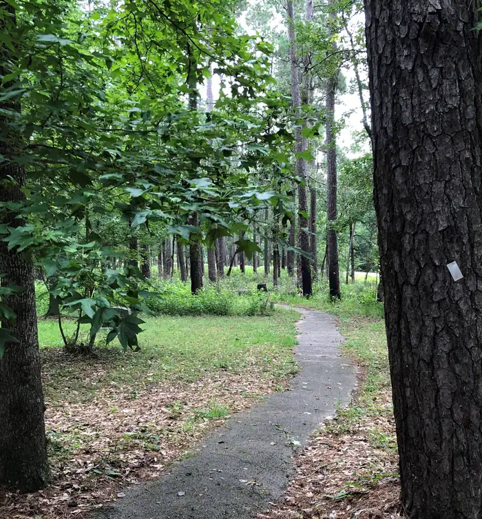 Cagle Recreation Area — Cagle walking path