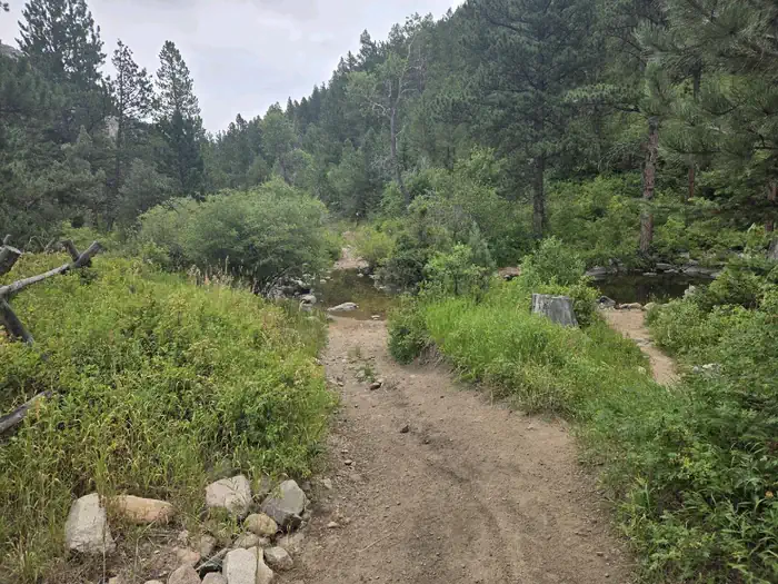 Curtis Gulch — LaBonte Creek crossing from Campground