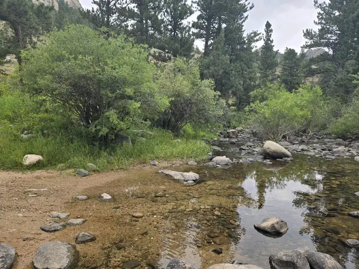 Curtis Gulch — LaBonte Creek at trail crossing