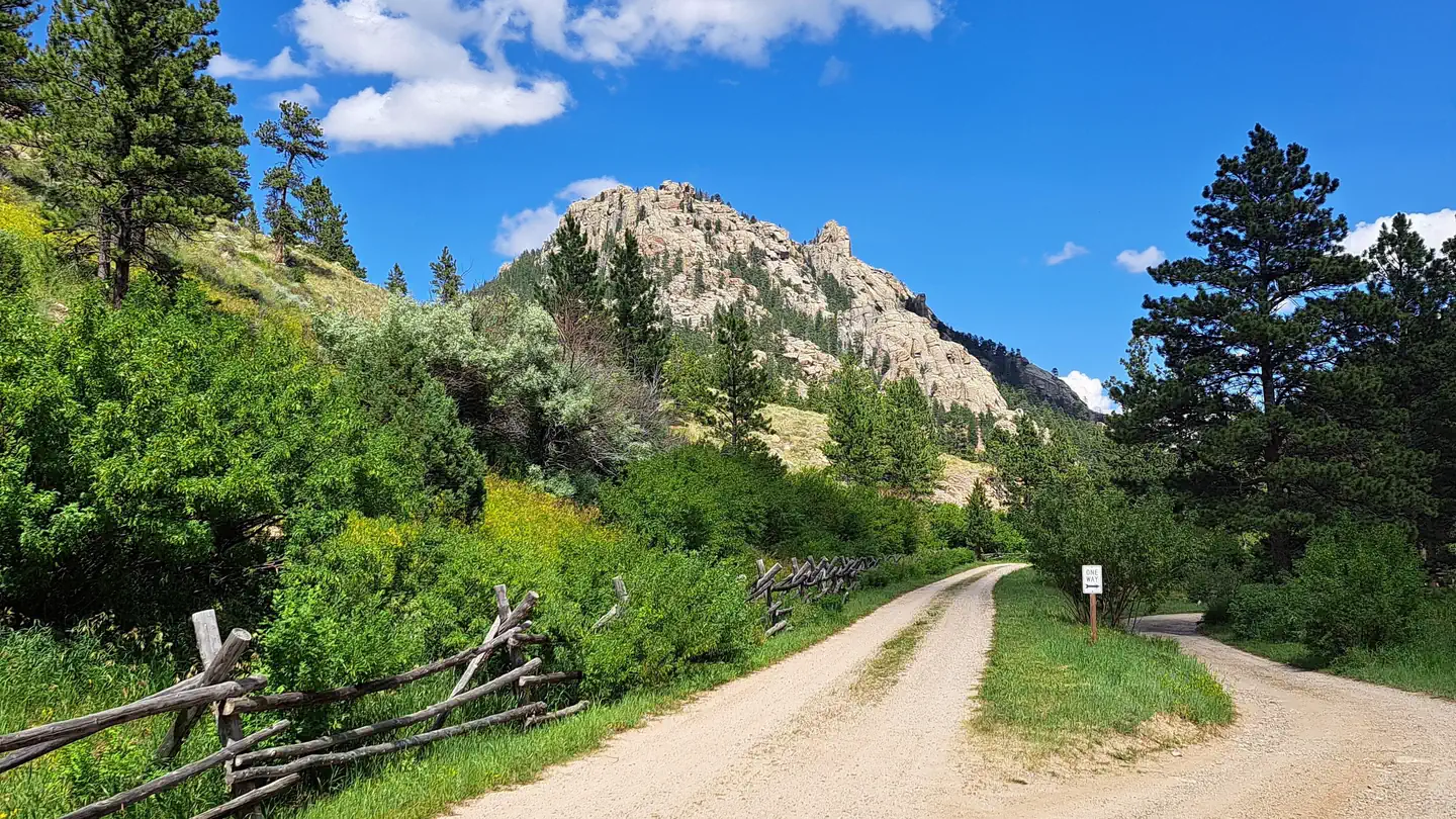 Curtis Gulch