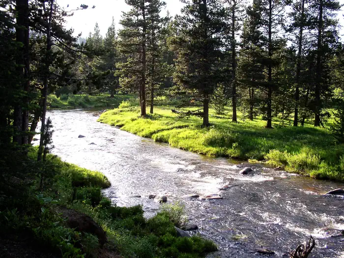 Dead Swede — River near Dead Swede 2