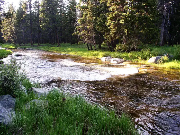 Dead Swede — River near Dead Swede