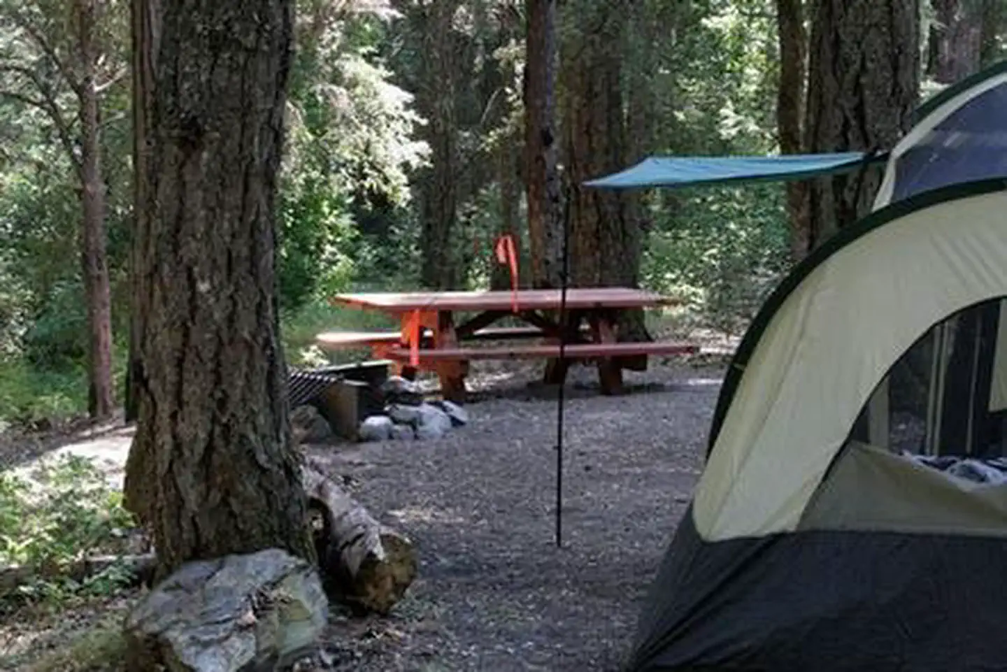 Beaver Sulphur — Camp site # 4