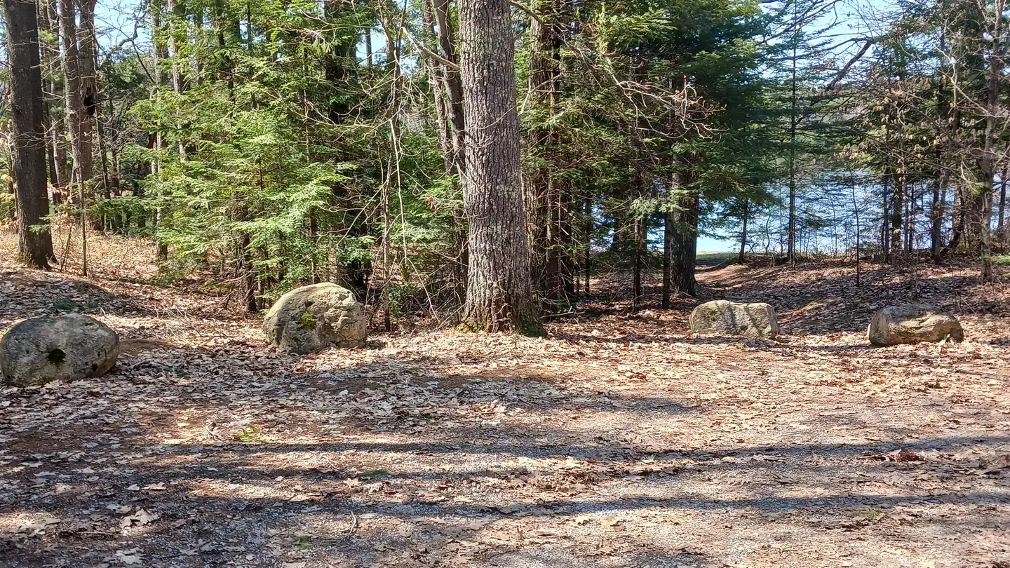 Little Bass Lake Dispersed Campsites