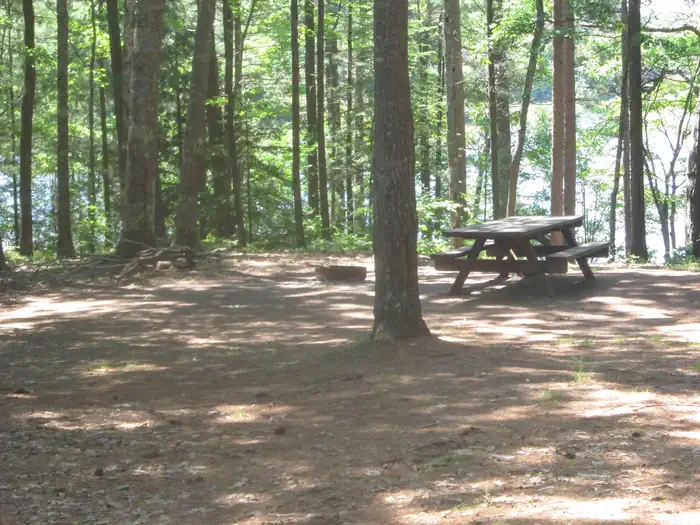 Little Bass Lake Dispersed Campsites — LITTLE BASS LAKE CAMPSITE