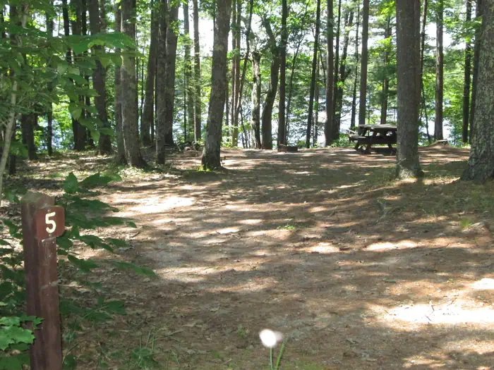 Little Bass Lake Dispersed Campsites — LITTLE BASS LAKE CAMPSITE 5
