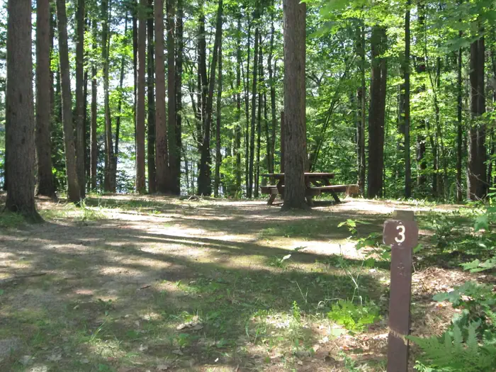 Little Bass Lake Dispersed Campsites — LITTLE BASS LAKE CAMPSITE 3