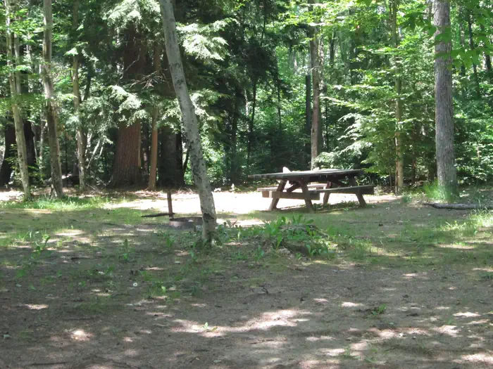 Little Bass Lake Dispersed Campsites — LITTLE BASS LAKE CAMPSITE 1