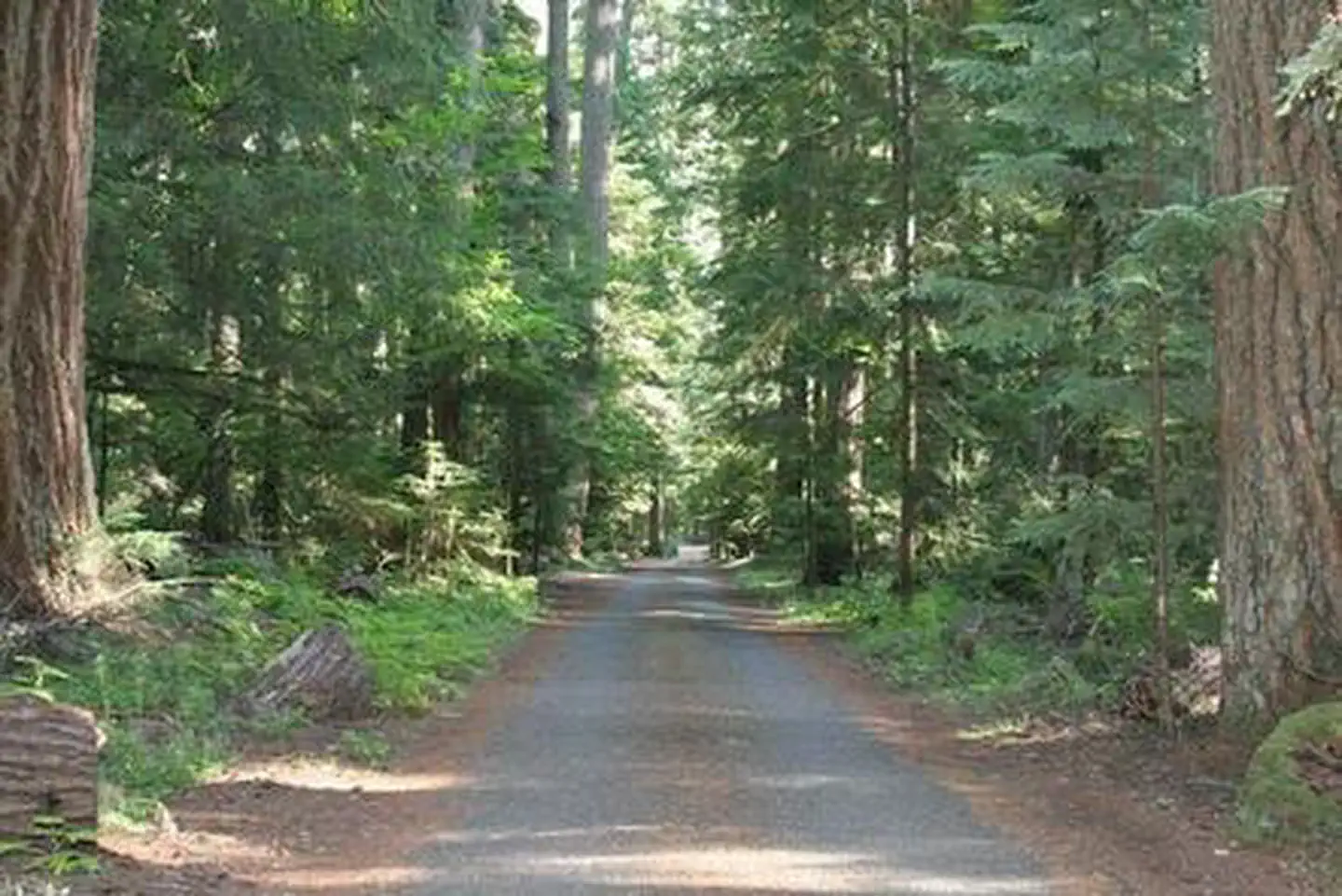 The Dalles Campground — The Dalles Campground