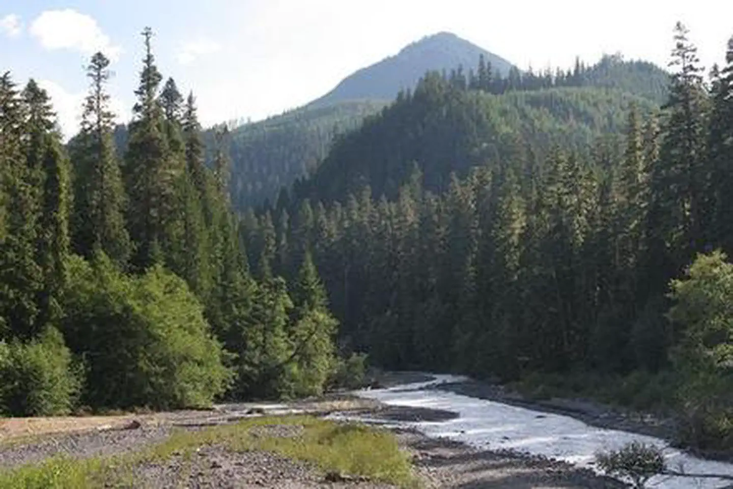 The Dalles Campground — The Dalles Campground