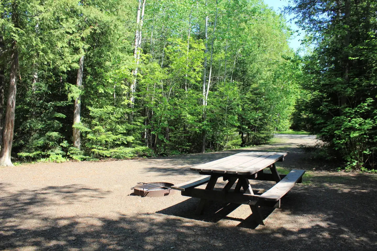 Flour Lake Campground — FLOUR LAKE CAMPGROUND