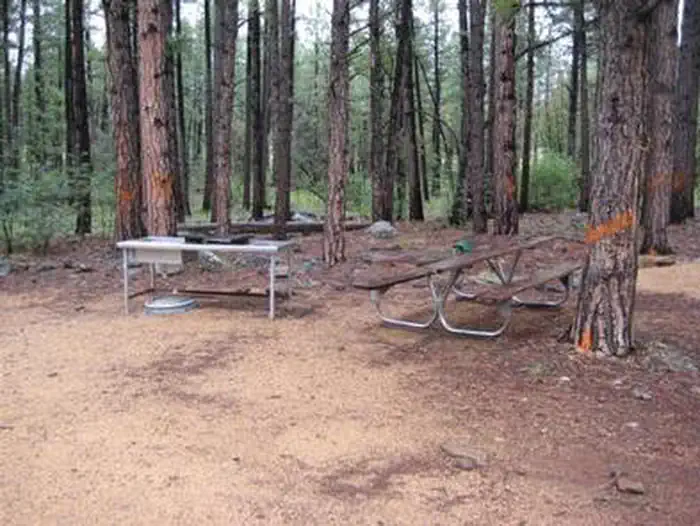 Apache Maid Cabin β APACHE MAID CABIN