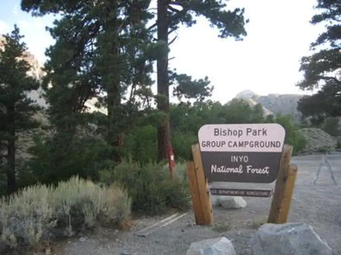 Bishop Park Group — BISHOP PARK GROUP