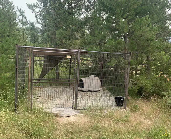 Star Meadows Guard Station — Historic forest service cabin with a dog kennel.